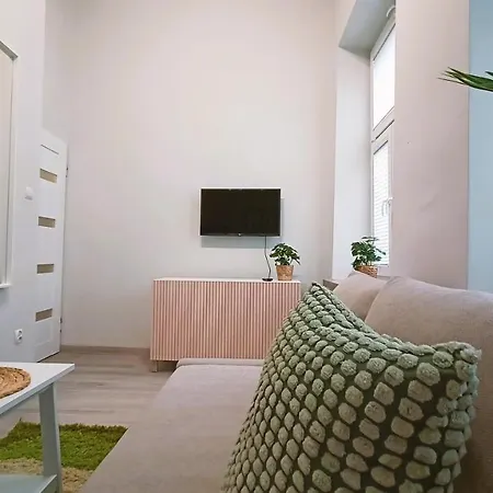 Mietowy Krakowskie Przedmiescie 26